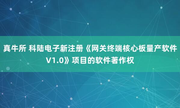 真牛所 科陆电子新注册《网关终端核心板量产软件V1.0》项目的软件著作权