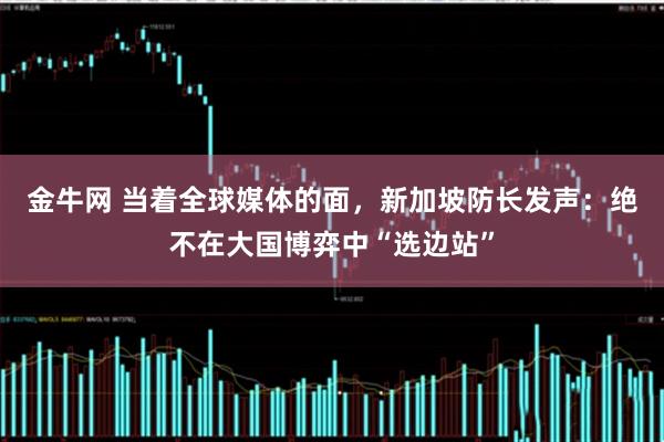 金牛网 当着全球媒体的面，新加坡防长发声：绝不在大国博弈中“选边站”