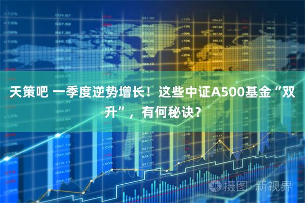 天策吧 一季度逆势增长！这些中证A500基金“双升”，有何秘诀？