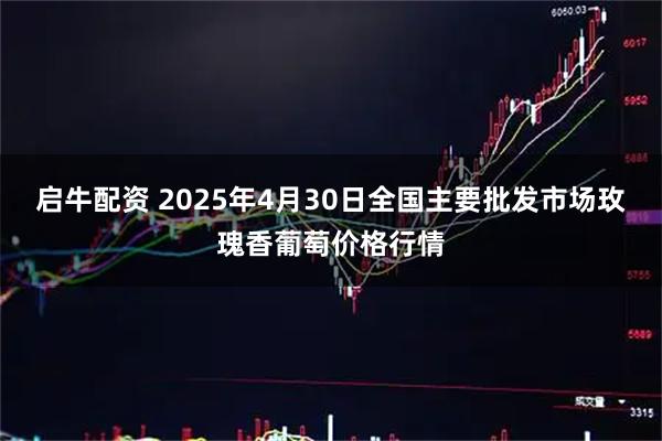 启牛配资 2025年4月30日全国主要批发市场玫瑰香葡萄价格行情