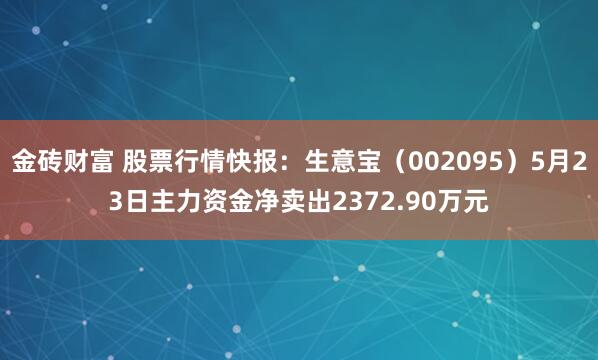 金砖财富 股票行情快报：生意宝（002095）5月23日主力资金净卖出2372.90万元