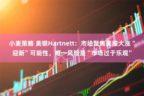 小麦策略 美银Hartnett：市场聚焦美股大涨“迎新”可能性，唯一风险是“市场过于乐观”