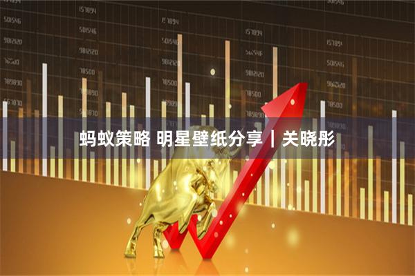 蚂蚁策略 明星壁纸分享｜关晓彤